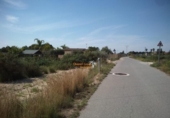 Casa amb terreny en venda a la España, Elx, ref.: TR294918 foto