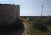 Casa amb terreny en venda a la España, Elx, ref.: TR294918 foto