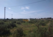 Casa amb terreny en venda a la España, Elx, ref.: TR294918 foto