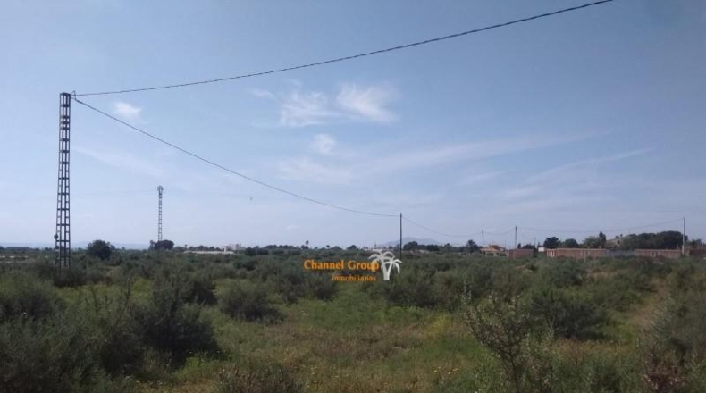 Аликанте - Elche - 16000m2