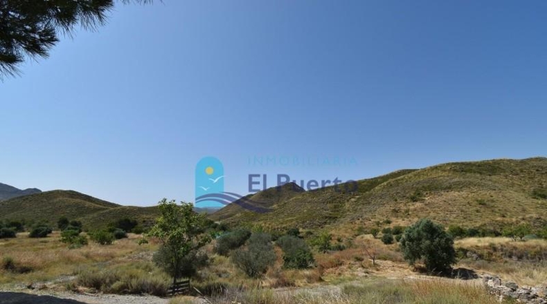 Murcia - Lorca - 125100m2