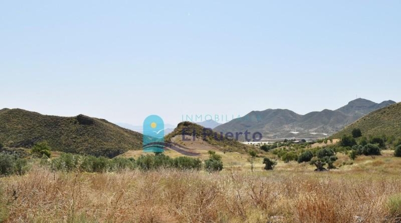 Murcia - Lorca - 125100m2