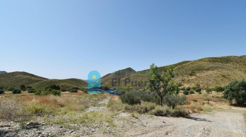 Murcia - Lorca - 125100m2