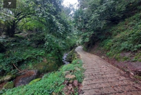 Foto 15