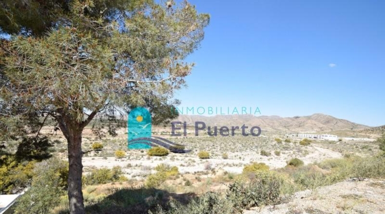 Múrcia - Cartagena - 815m2