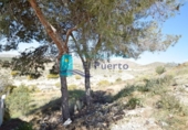Sòl urbà en venda a la España, Cartagena, ref.: TR121695 foto