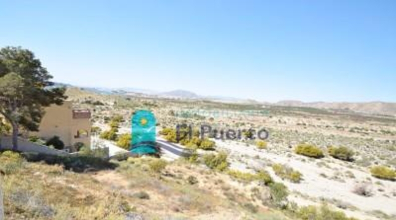 Múrcia - Cartagena - 815m2