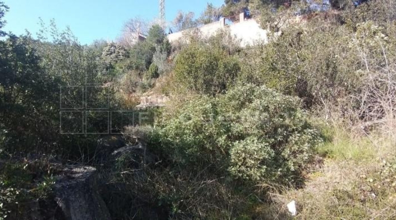 Barcelona - Vacarisses - 700m2
