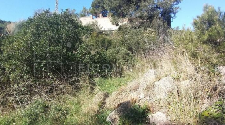 Barcelona - Vacarisses - 700m2