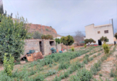 Casa de camp amb terreny en venda a la España, Ugíjar, ref.: TR135372 foto