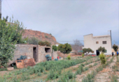 Casa de camp amb terreny en venda a la España, Ugíjar, ref.: TR135372 foto