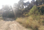 Urban land for sale on España, Corbera de Llobregat, ref: TR124829 photo