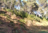 Urban land for sale on España, Corbera de Llobregat, ref: TR124829 photo