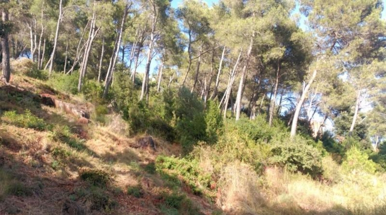 Barcelona - Corbera de Llobregat - 1231m2