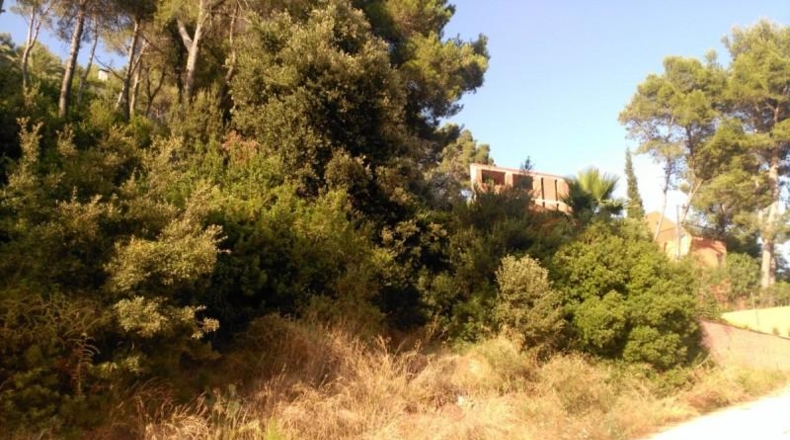 Barcelona - Corbera de Llobregat - 1231m2
