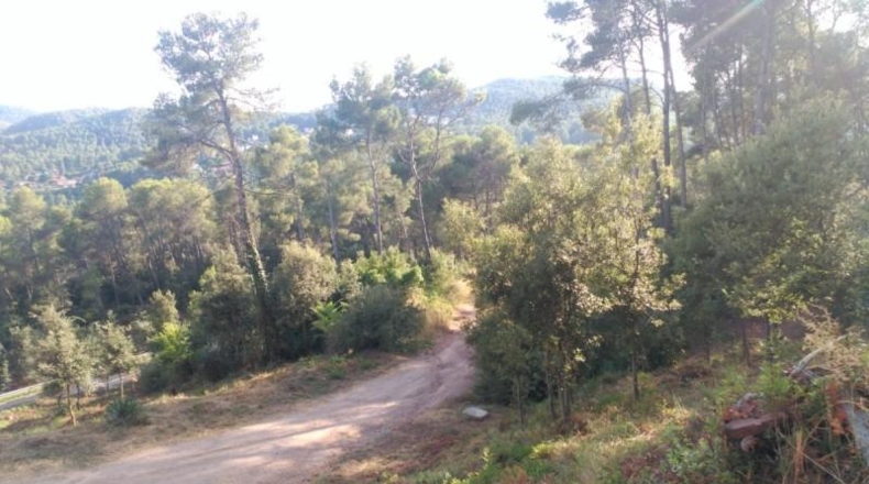 Barcelona - Corbera de Llobregat - 1231m2