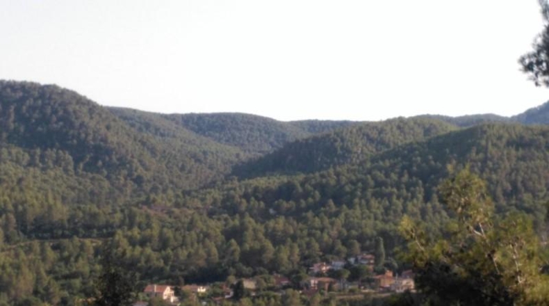 Barcelona - Corbera de Llobregat - 1231m2