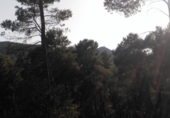 Urban land for sale on España, Corbera de Llobregat, ref: TR124829 photo
