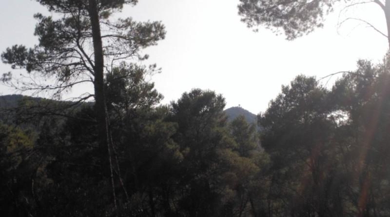 Barcelona - Corbera de Llobregat - 1231m2