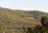 Urban land for sale on España, Corbera de Llobregat, ref: TR124829 photo