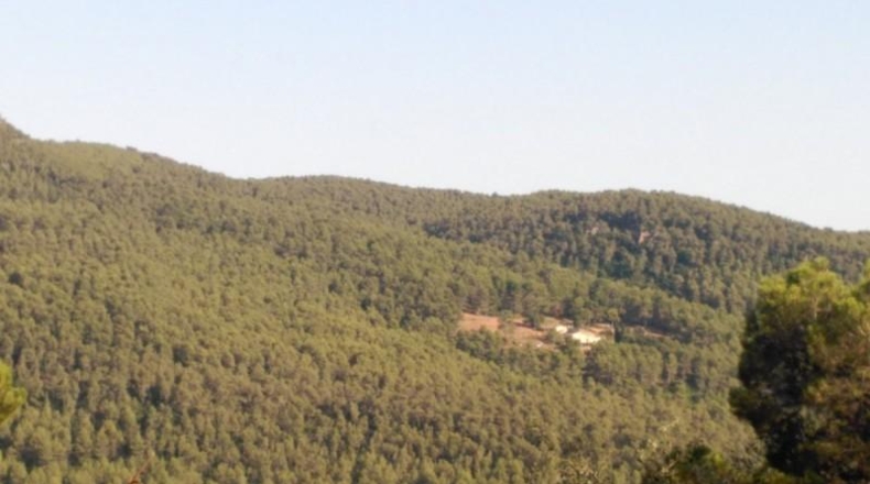Barcelona - Corbera de Llobregat - 1231m2