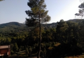Urban land for sale on España, Corbera de Llobregat, ref: TR124829 photo