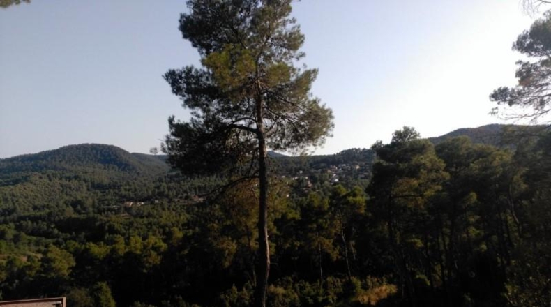 Barcelona - Corbera de Llobregat - 1231m2