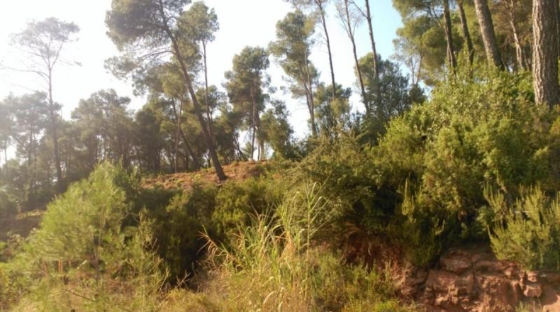 Barcelona - Corbera de Llobregat - 1231m2