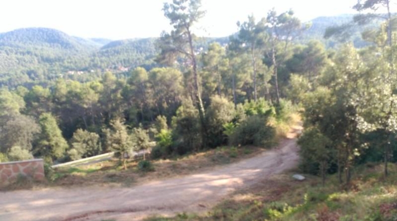 Barcelona - Corbera de Llobregat - 1231m2