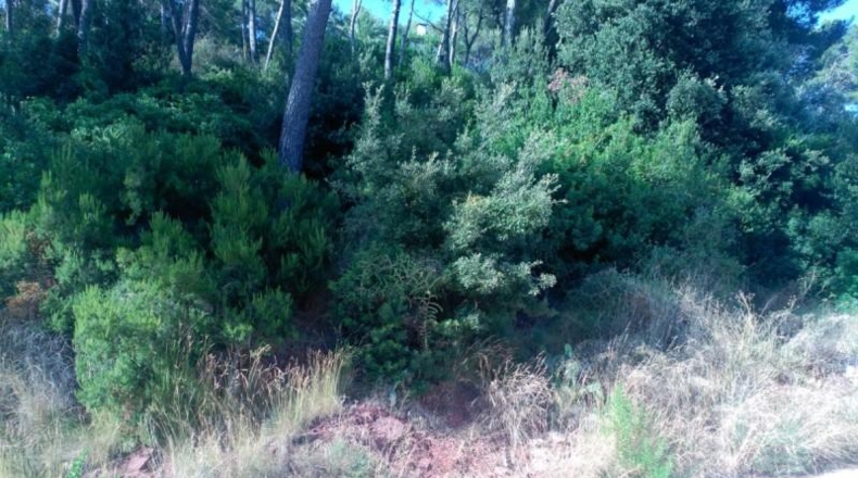 Barcelona - Corbera de Llobregat - 1231m2