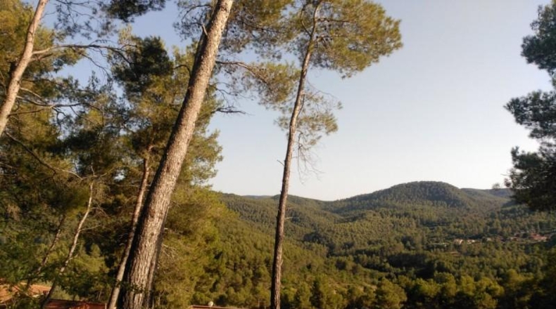 Barcelona - Corbera de Llobregat - 1231m2