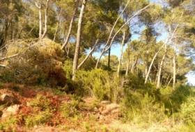 Foto 15