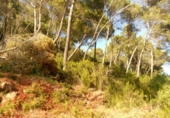 Urban land for sale on España, Corbera de Llobregat, ref: TR124829 photo
