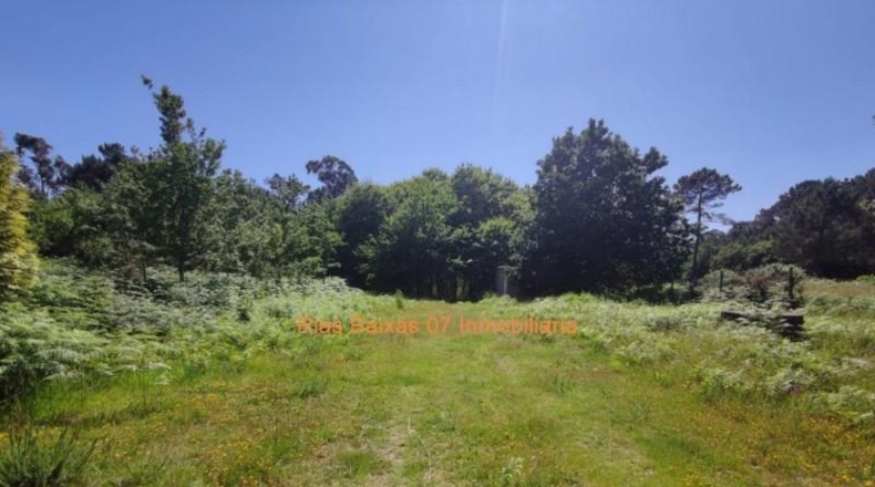 Pontevedra - Porriño - 1500m2