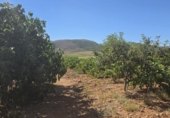 Terreno no urbanizable en venta en la España, Laujar de Andarax, ref: TR328543 foto