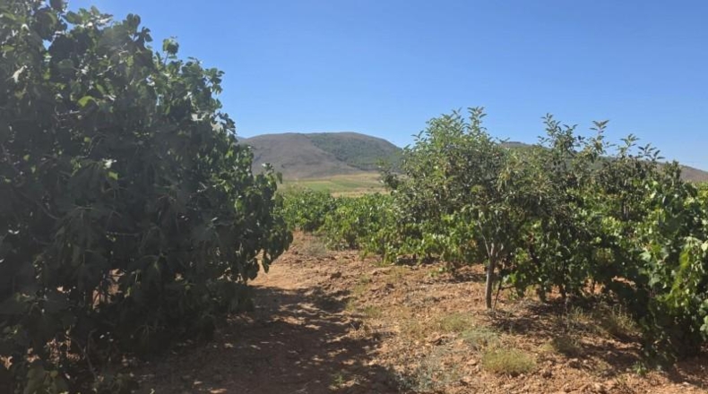 Almería - Лауар-де-Андаракс - 23499m2