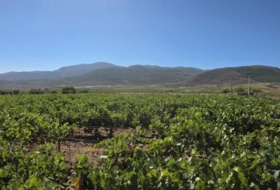 Laujar de Andarax 23499&nbsp;m²