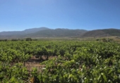 Terreno no urbanizable en venta en la España, Laujar de Andarax, ref: TR328543 foto