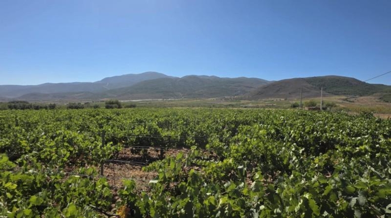 Almería - Лауар-де-Андаракс - 23499m2