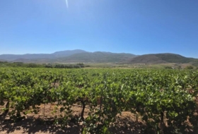 Laujar de Andarax 23499&nbsp;m²