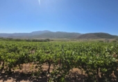Terreno no urbanizable en venta en la España, Laujar de Andarax, ref: TR328543 foto