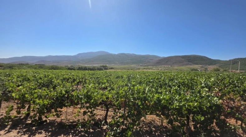 Almería - Лауар-де-Андаракс - 23499m2