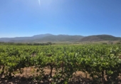 Terreno no urbanizable en venta en la España, Laujar de Andarax, ref: TR328543 foto