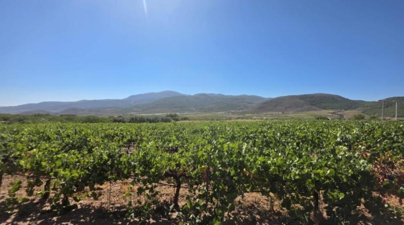 Almería - Лауар-де-Андаракс - 23499m2