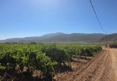 Terreno no urbanizable en venta en la España, Laujar de Andarax, ref: TR328543 foto