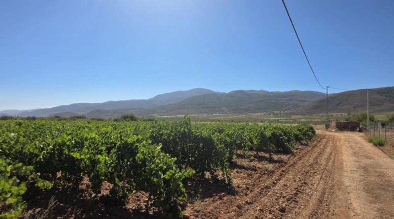 Almería - Лауар-де-Андаракс - 23499m2