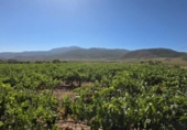 Terreno no urbanizable en venta en la España, Laujar de Andarax, ref: TR328543 foto