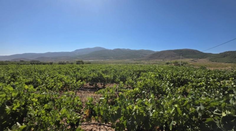 Almería - Лауар-де-Андаракс - 23499m2