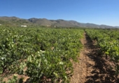 Terreno no urbanizable en venta en la España, Laujar de Andarax, ref: TR328543 foto