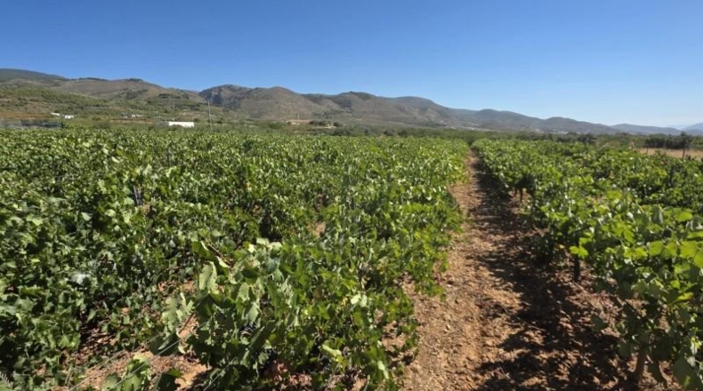 Almería - Лауар-де-Андаракс - 23499m2